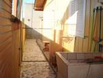 Canil